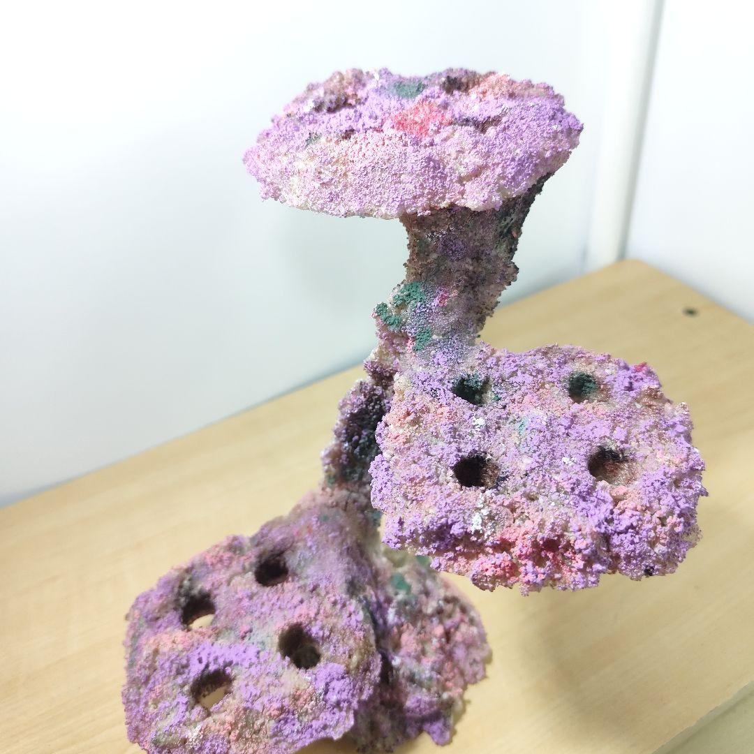 プラグ穴付き アク抜き不要人工ライブロック 海水水槽 レプリカ コーラルフラグ2