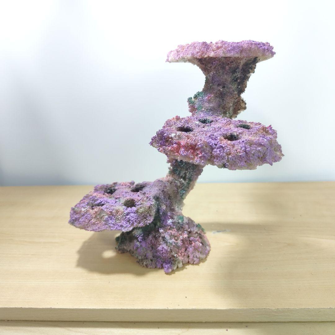 プラグ穴付き アク抜き不要人工ライブロック 海水水槽 レプリカ コーラルフラグ2