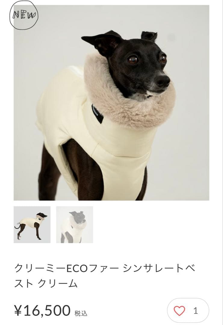 hashilcco イタグレ服ベストＳサイズ