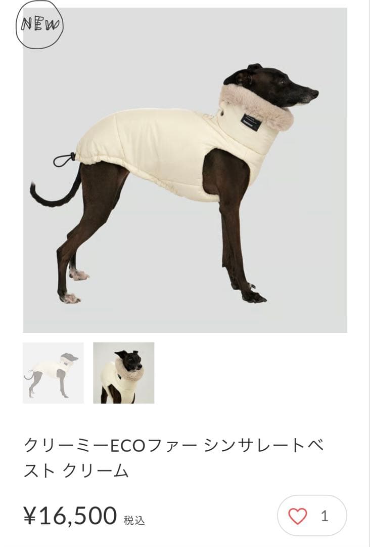 hashilcco イタグレ服ベストＳサイズ