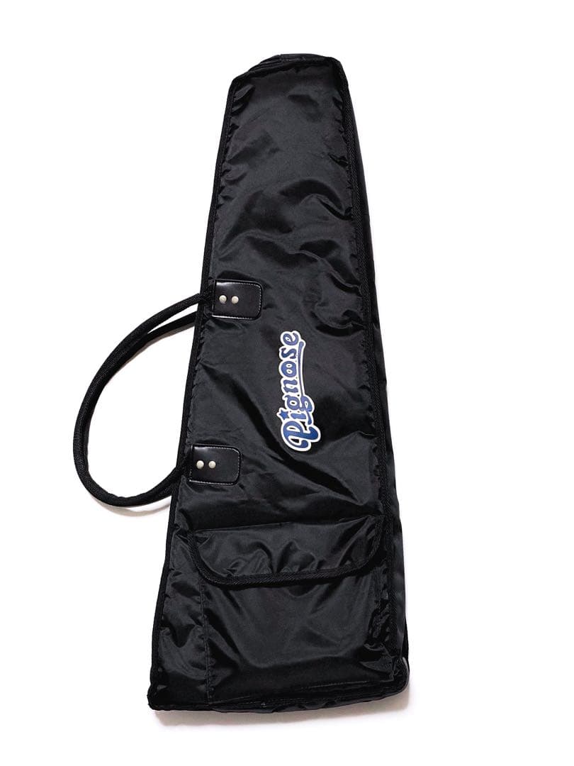 ギター PIGNOSE GUITAR PGG-200 CA