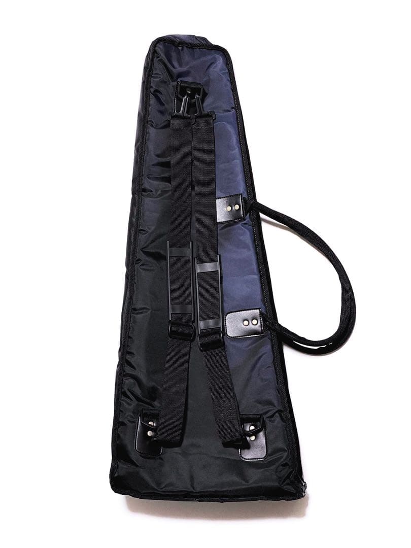 ギター PIGNOSE GUITAR PGG-200 CA