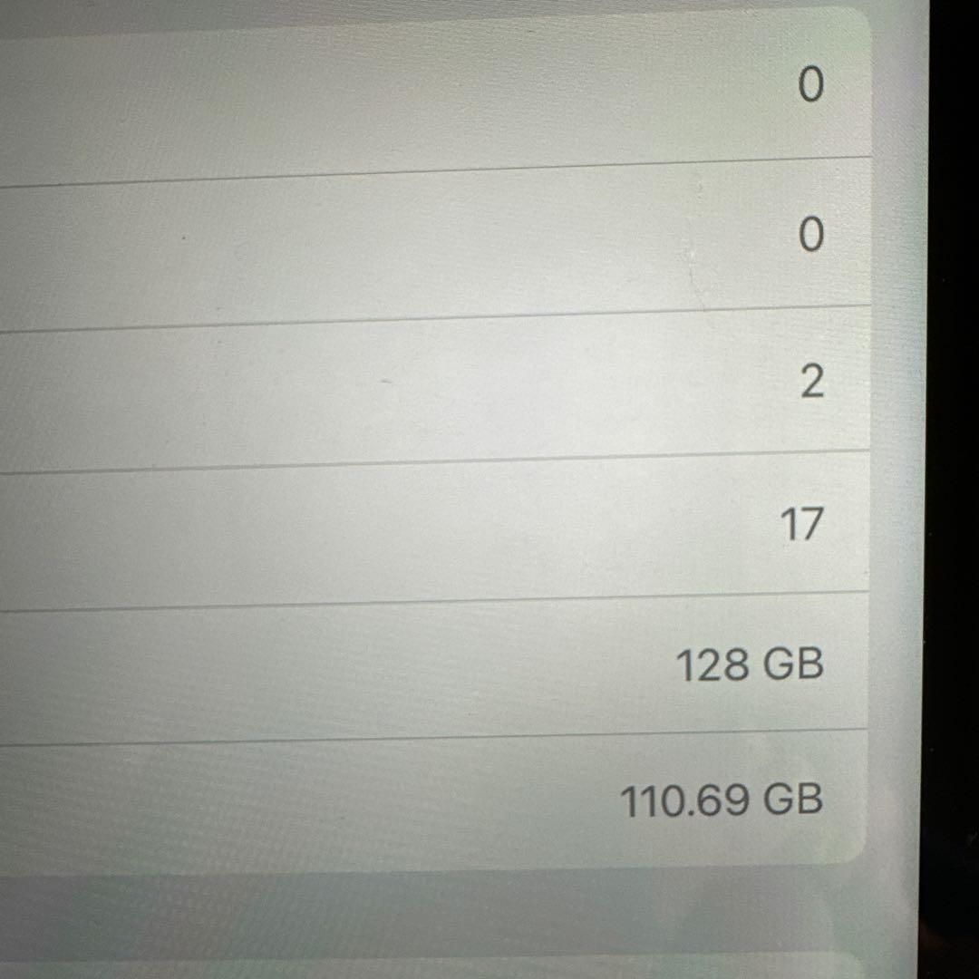 iPad Pro 128GB 12.9インチ WIFIモデル