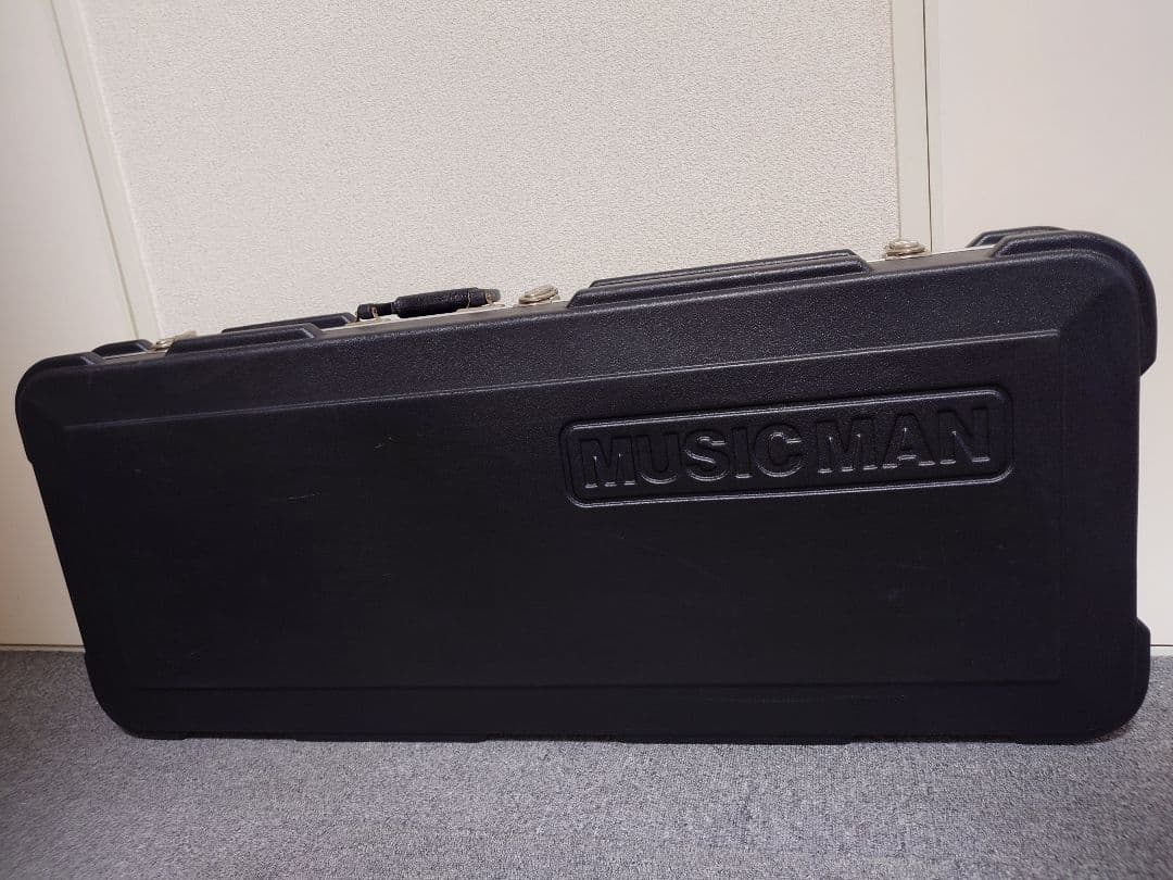 【激レア❗️】Music Man Luke エレキギター カスタム塗装