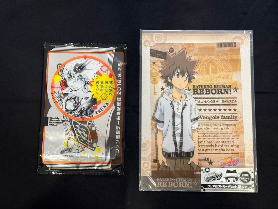 家庭教師ヒットマンREBORN 感謝デー　来場記念証　沢田綱吉