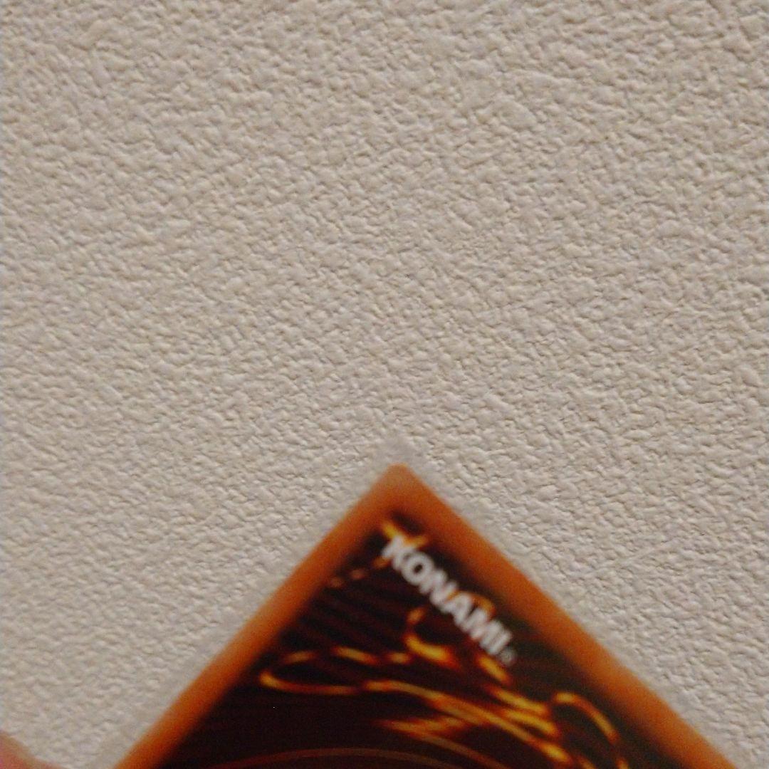 真紅眼の黒竜 プリシク