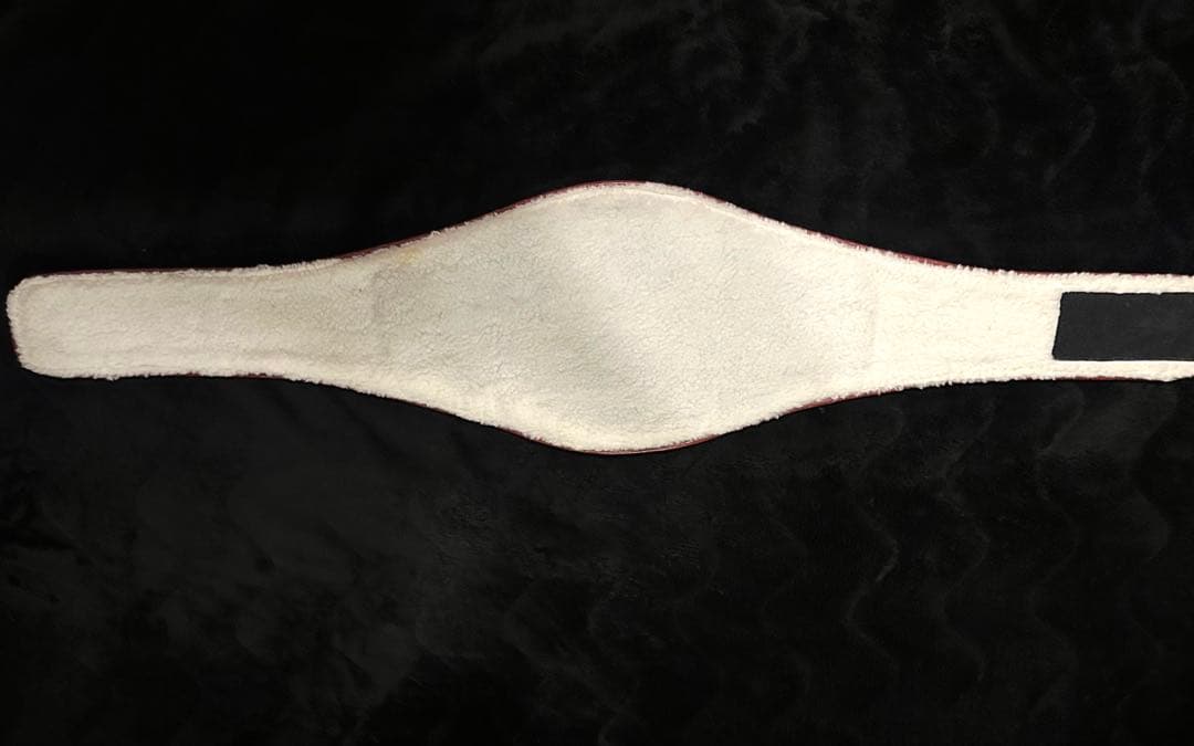 WBAボクシング チャンピオンベルト レプリカ