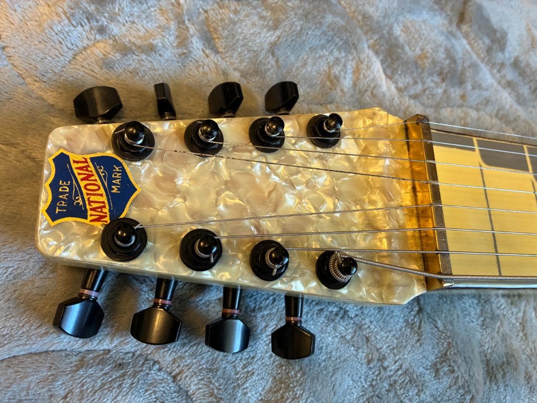 弦楽器 Morrell Pro 8-String Lap Steel