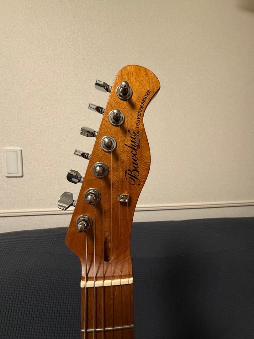 25.12月新品購入　Bacchus BTE-3-RSM H H テレキャスター