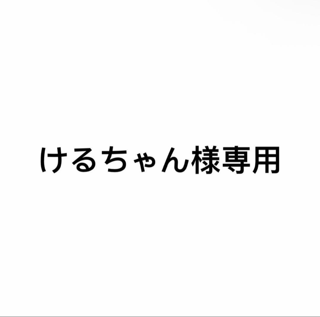 けるちゃん　竜骨