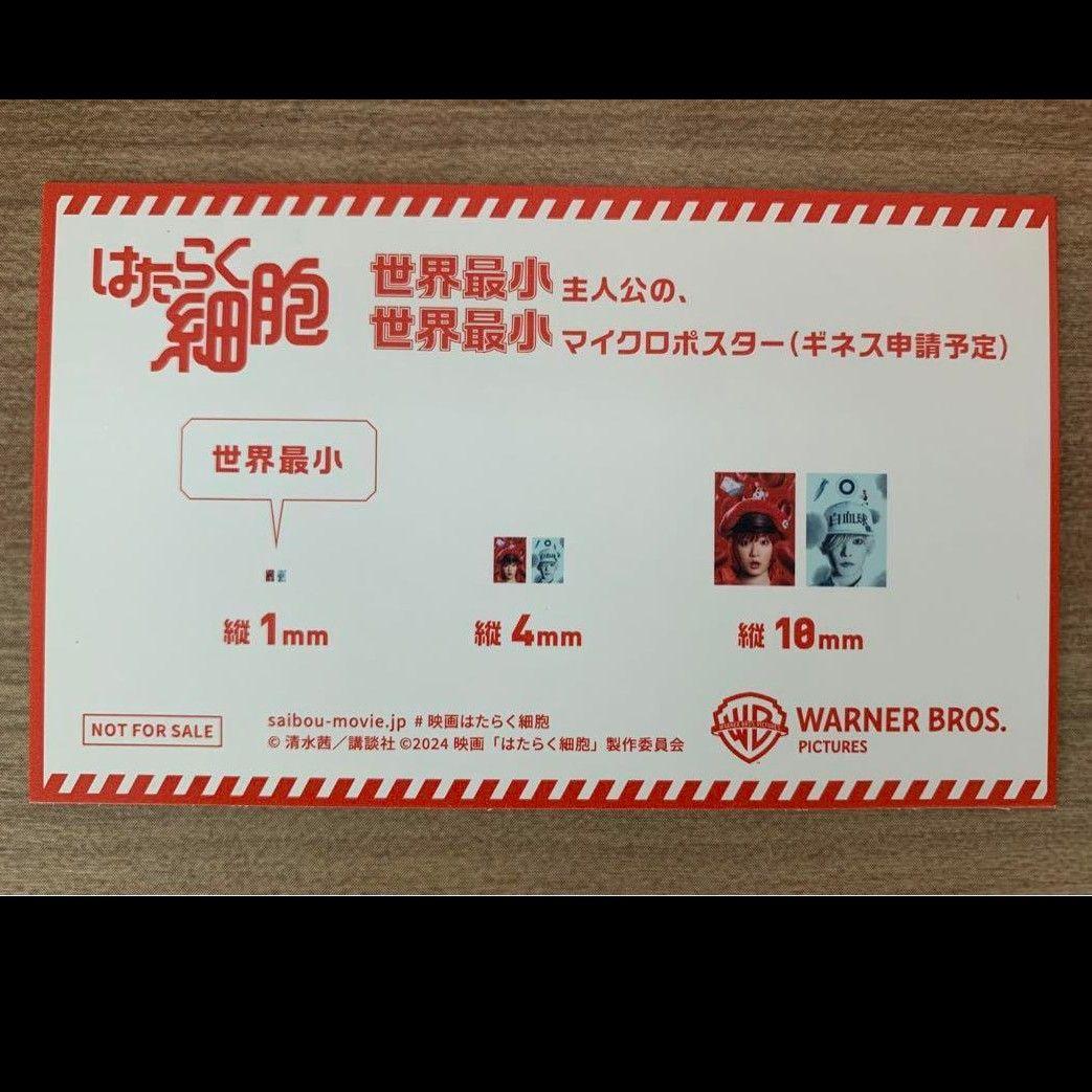 はたらく細胞　レッドカーペットイベント　永野芽郁　佐藤健　直筆サイン　おまけ付