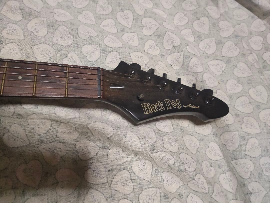 Black Dog ギター アルダーボディ　ストラトキャスタータイプ