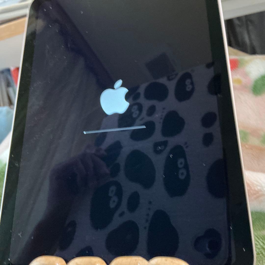 ipad mini 第6世代　Cellular model美品