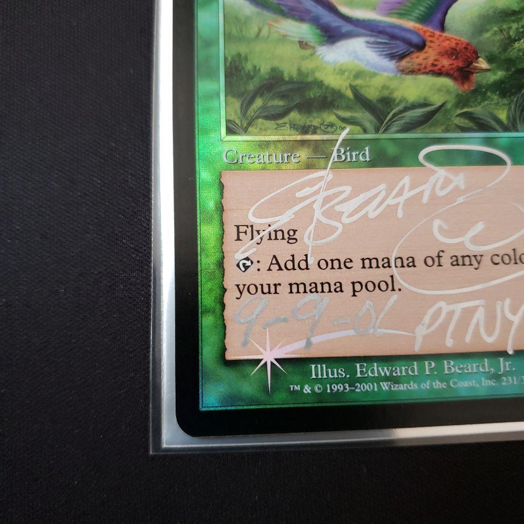 極楽鳥 MTG 7版 英語版 Foil Edward先生サイン入