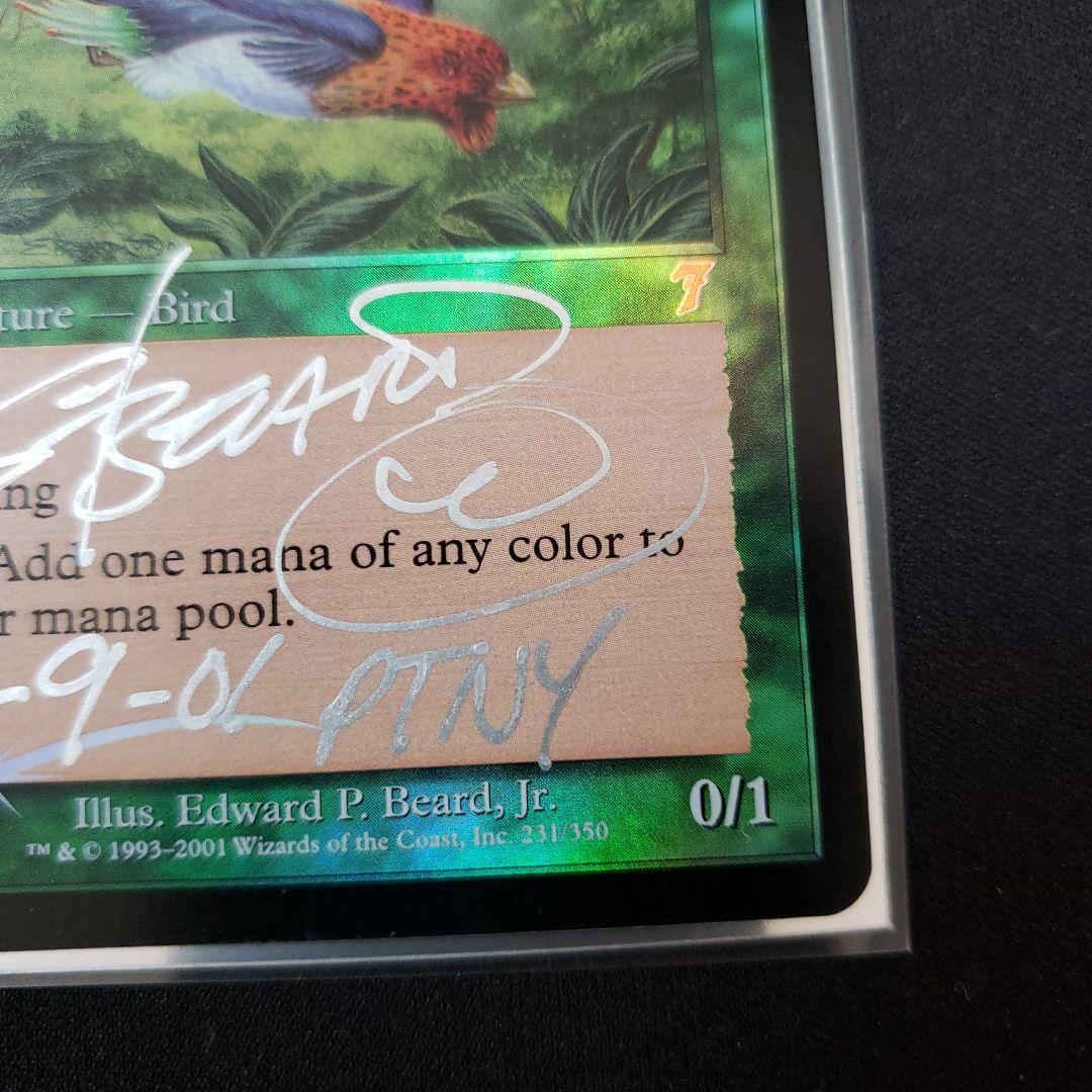 極楽鳥 MTG 7版 英語版 Foil Edward先生サイン入