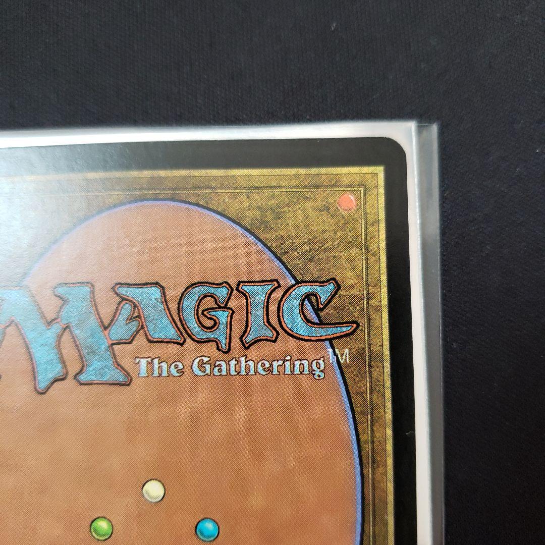 極楽鳥 MTG 7版 英語版 Foil Edward先生サイン入