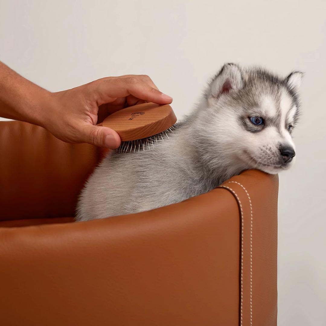 エルメス　天然素材 ドッグブラシ