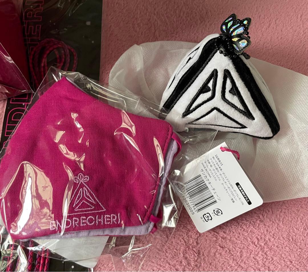 ENDRECHERI ペンライト他グッズ11点セット 堂本剛