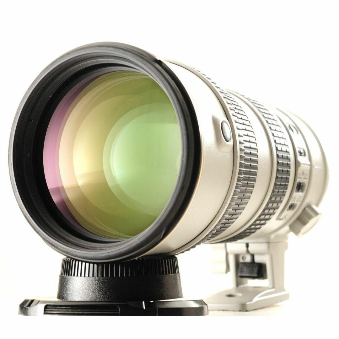 NIKON ニコン AF-S N 70-200mm F2.8 ライトグレー