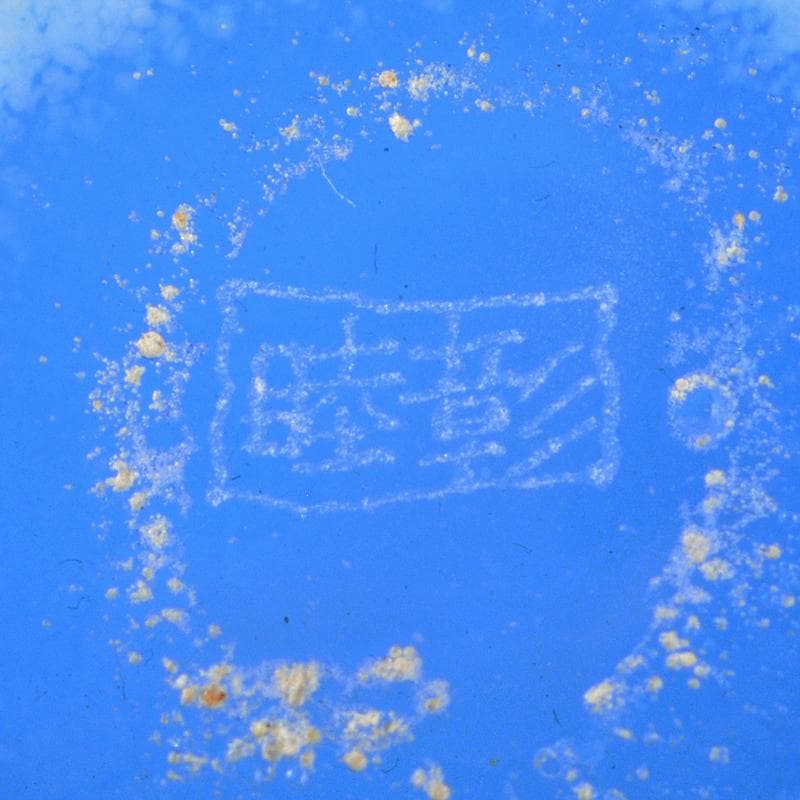 ガラス工芸　睦彰銘　花文　盃　一對　C　R6831