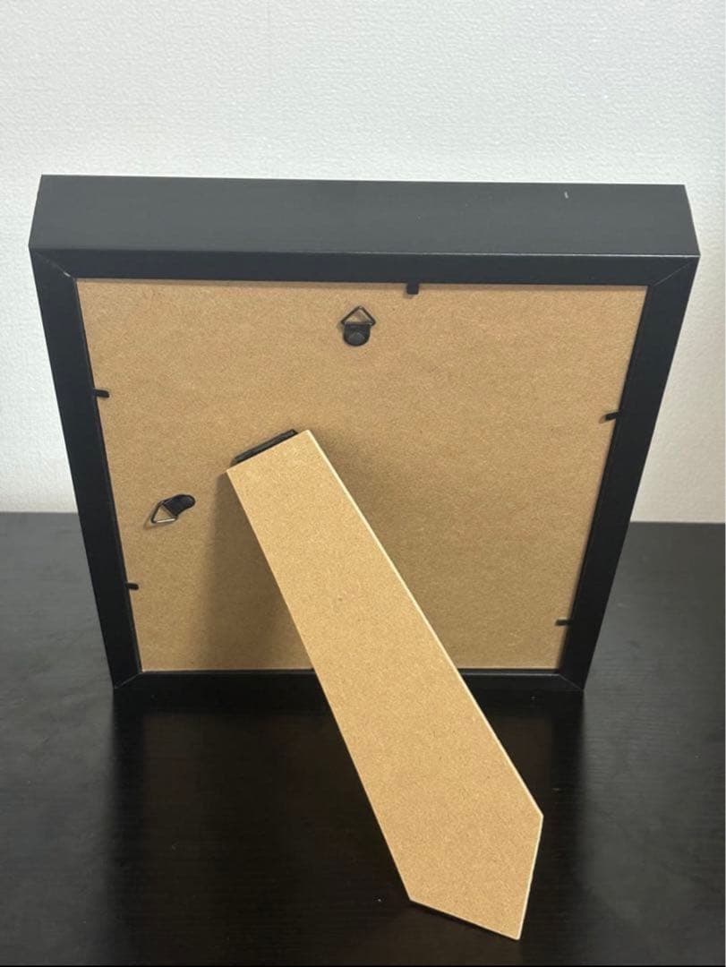 蝶の標本 2つセット　まとめ売り