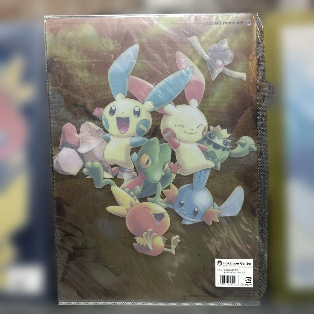 ポケモン クリアファイル 2枚+おまけ1枚付き