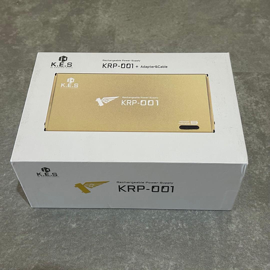 ギター K.E.S KRP-001