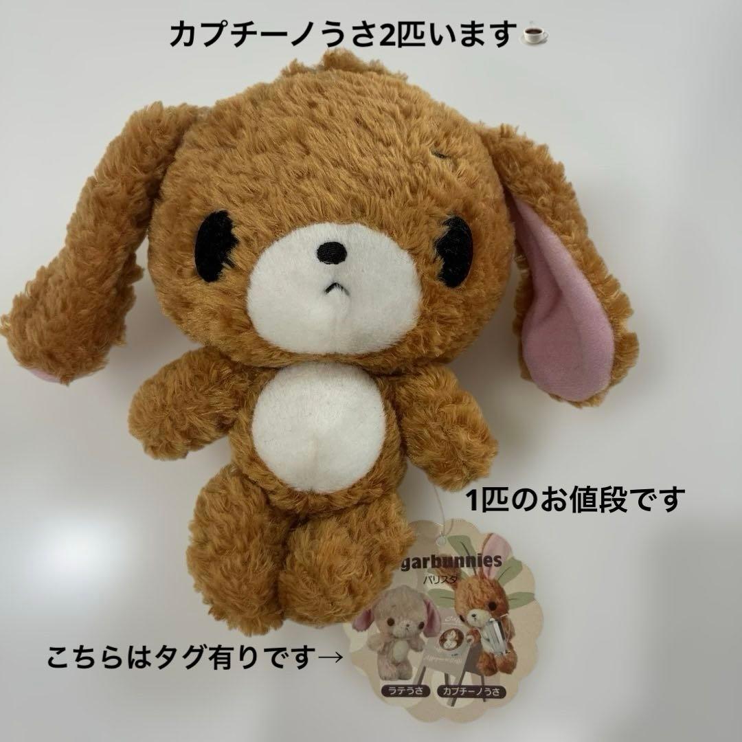 Sugarbunnies ぬいぐるみ カプチーノうさタグ有Sanrio サンリオ
