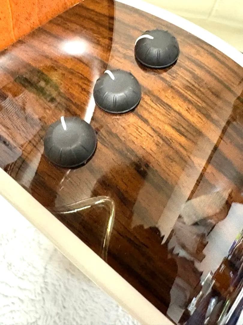 Taylorエレアコハードケース付き　412cerosewood v-class