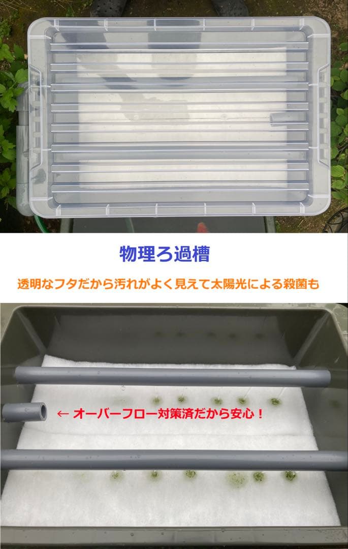 【RA様】三段式外部ろ過装置（個人製作濾過装置）【メダカ・金魚・錦鯉の屋外飼育】