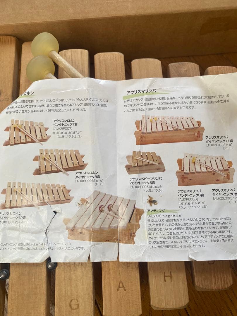 アウリス　シロフォン