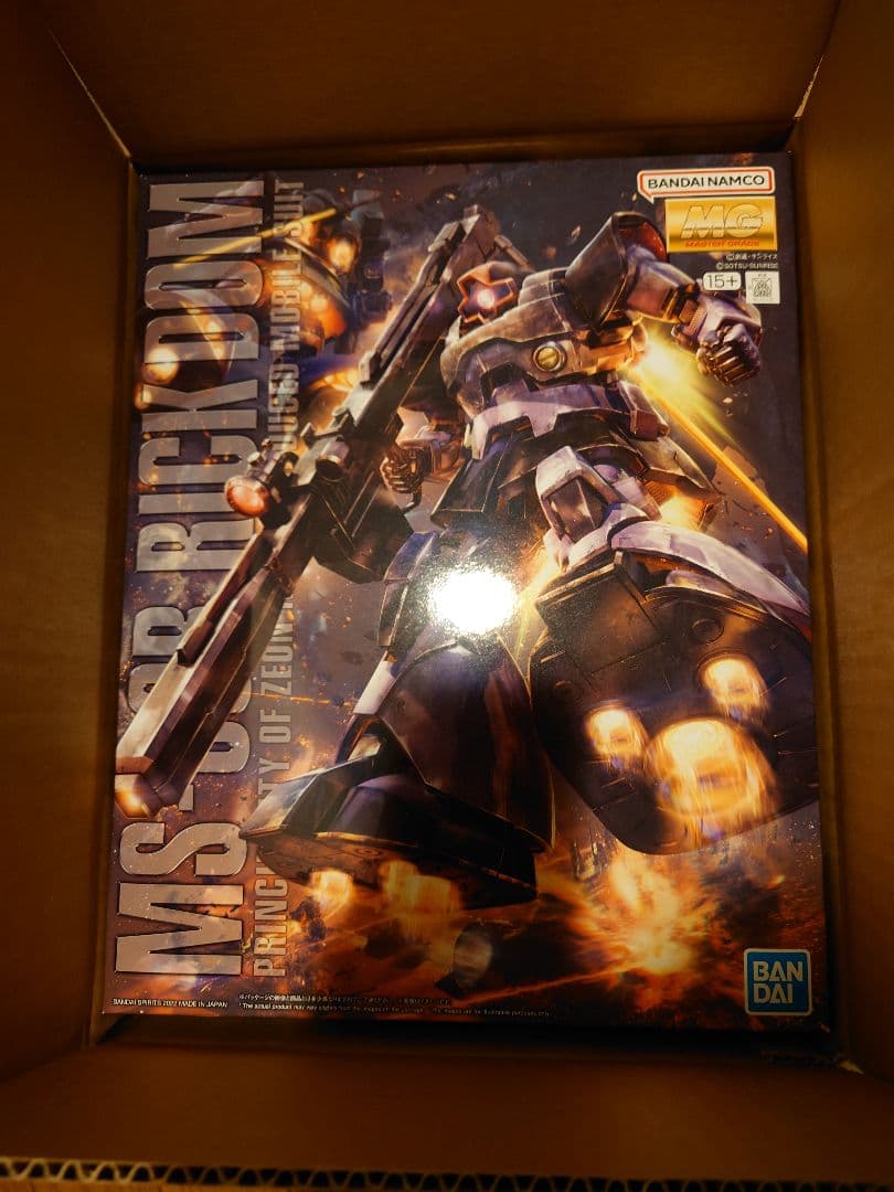 MG 1/100 リック・ドム