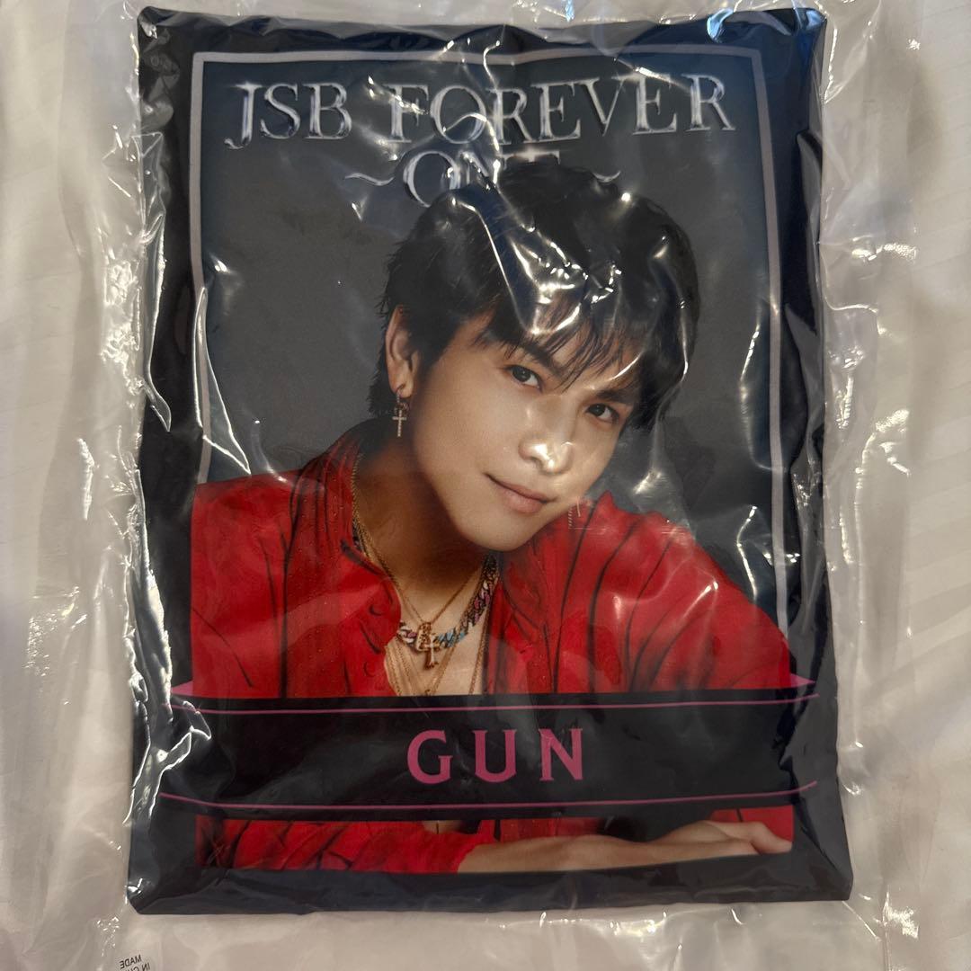 【レア】三代目JSB 15TH ANNIVERSARY 岩田剛典 クッション