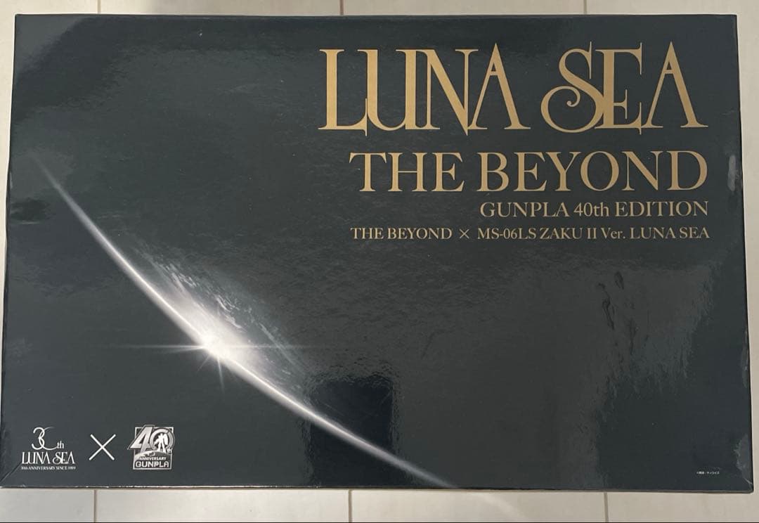 LUNA SEA専用ザクⅡ ガンプラ　MG