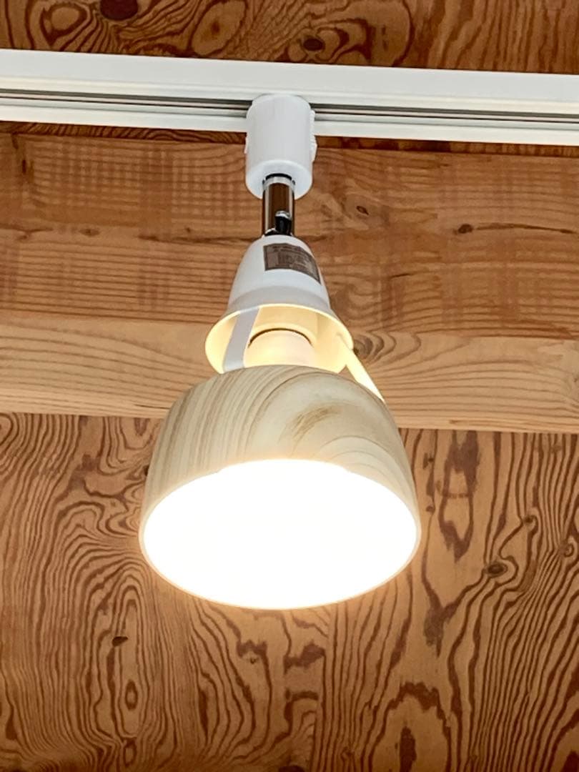 ダクトレール用 スポットライト10個セット　リモコン2個付