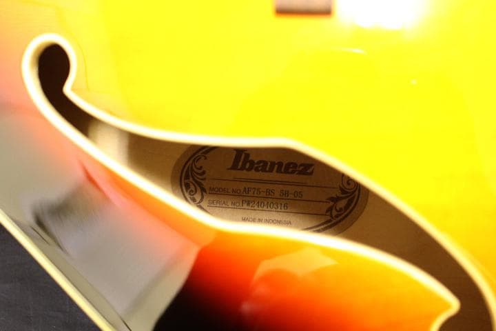 Ibanez(アイバニーズ) / AF75 BS フルホロウ エレキギター