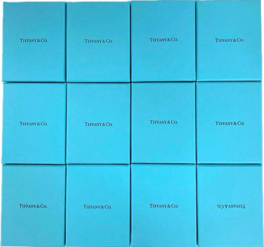 現行品Tiffany ティファニー　空箱巾着取扱説明書　12