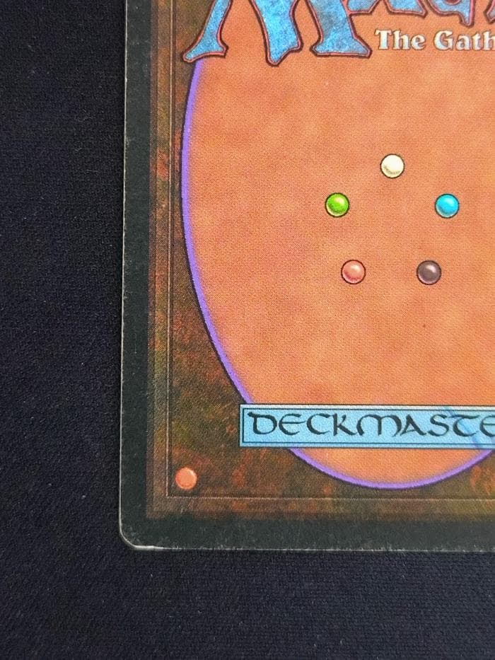 MTG Tropical  イタリア語 リバイズド黒枠 3EDBB