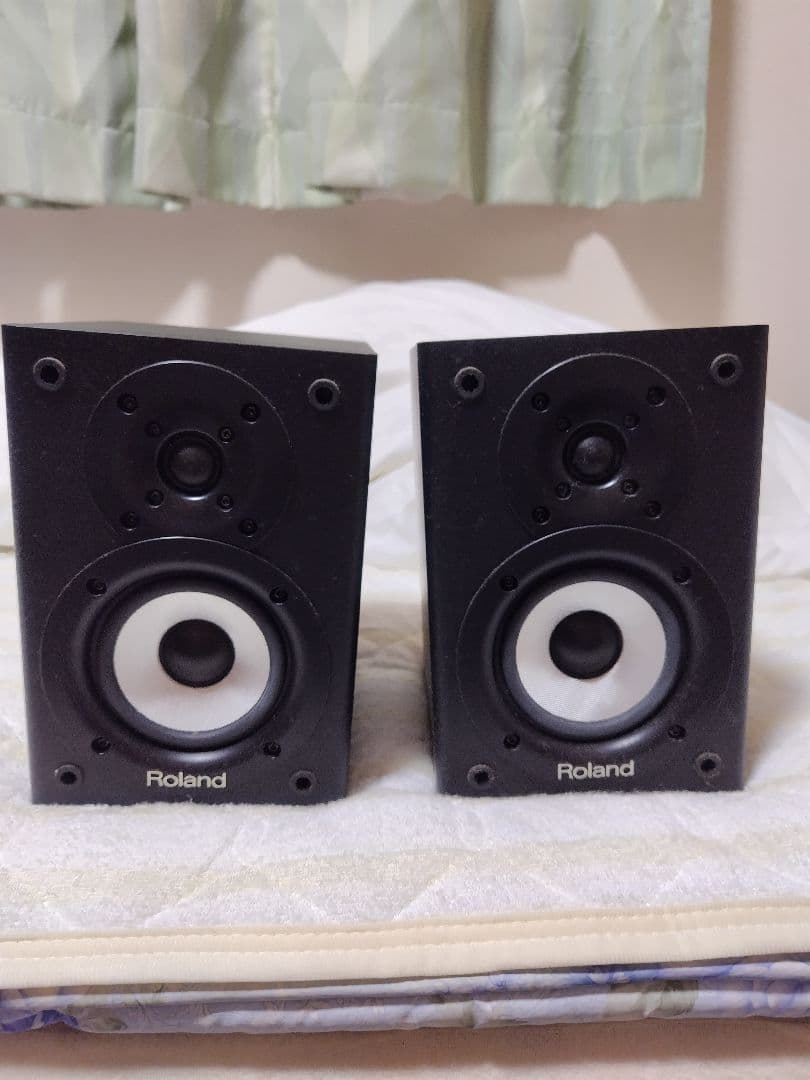 ローランド Roland CM-220 CUBE MONITOR 2.1ch