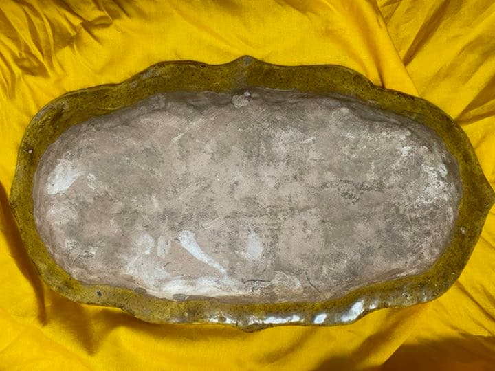 中国古陶磁 遼 三彩花文長盤