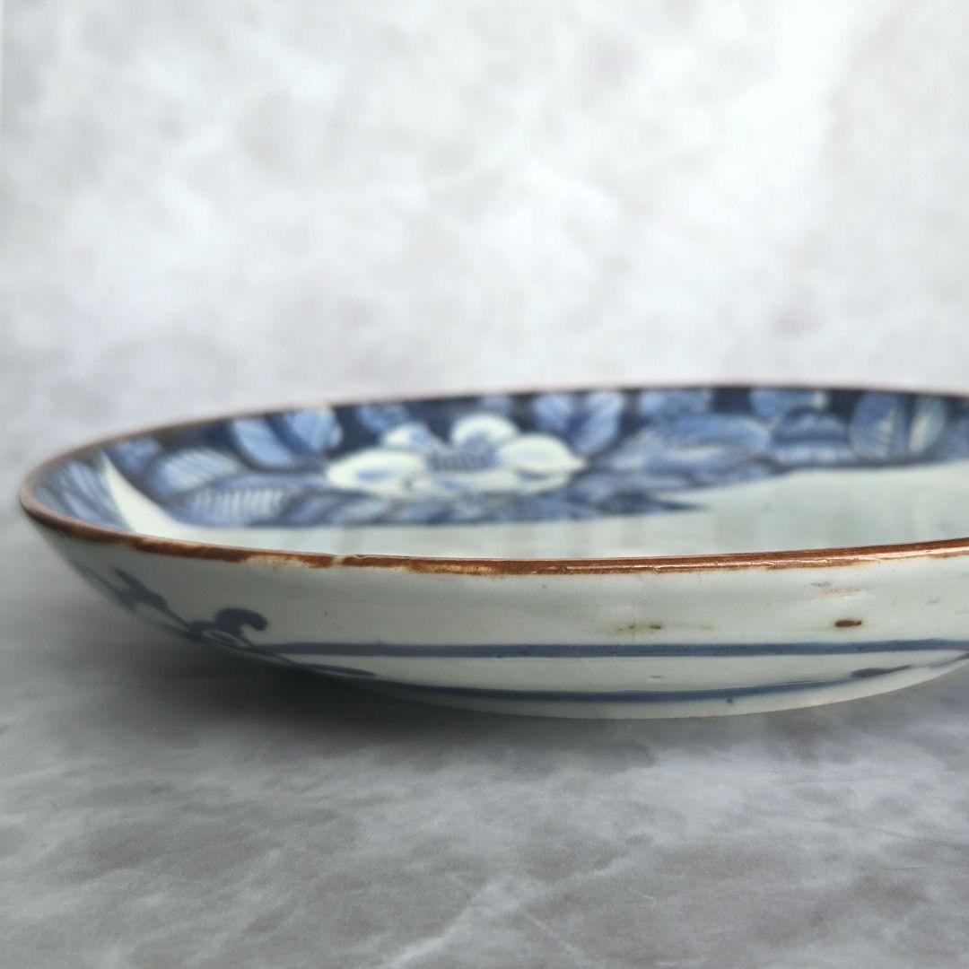 古伊万里　染付　七寸皿　椿　江戸時代　窓絵　骨董　アンティーク