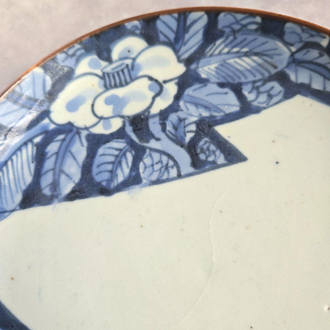 古伊万里　染付　七寸皿　椿　江戸時代　窓絵　骨董　アンティーク