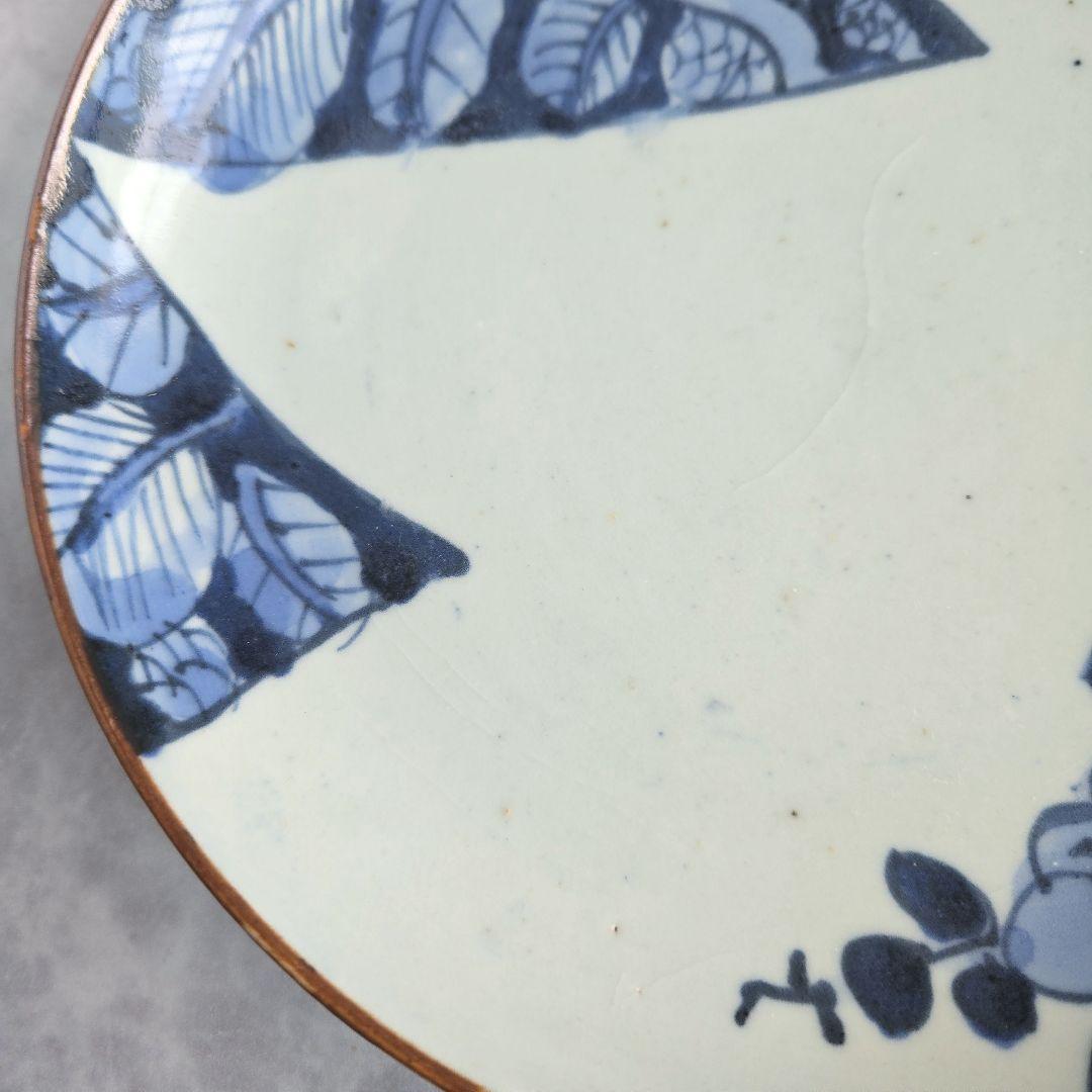 古伊万里　染付　七寸皿　椿　江戸時代　窓絵　骨董　アンティーク