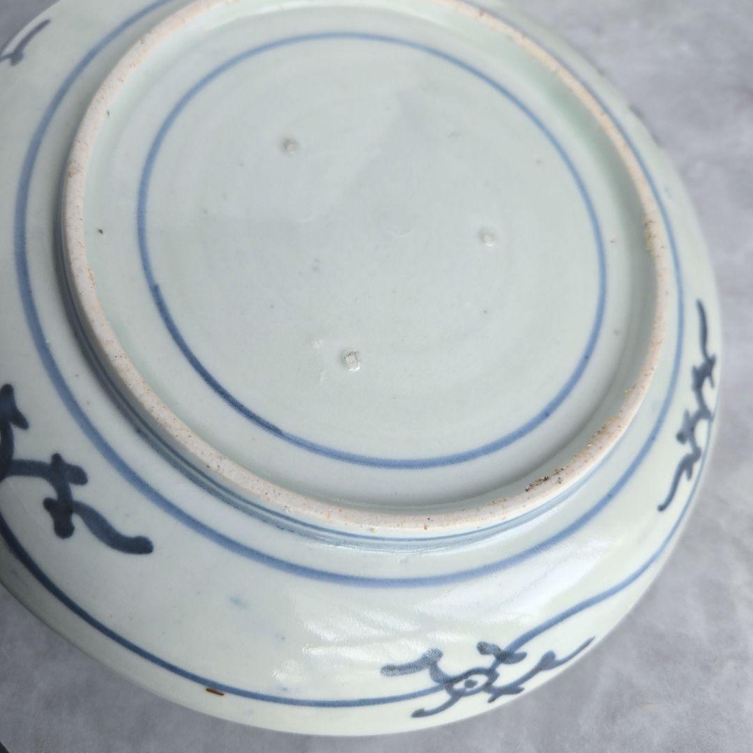 古伊万里　染付　七寸皿　椿　江戸時代　窓絵　骨董　アンティーク