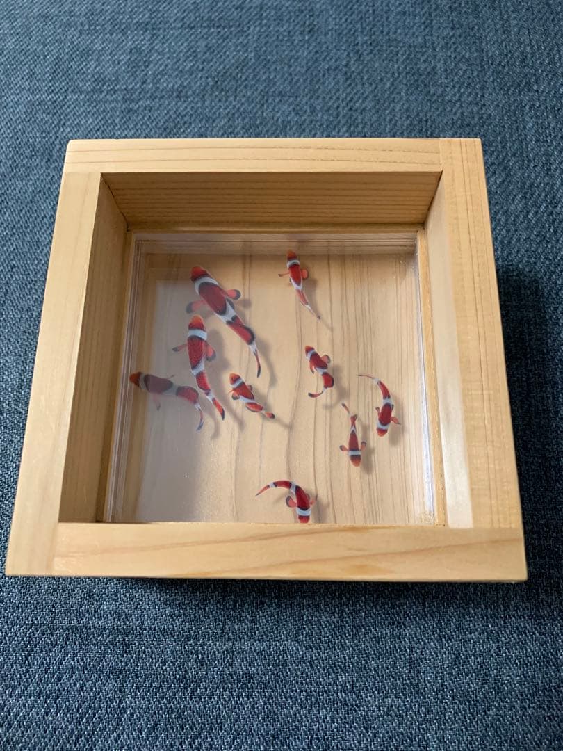 カクレクマノミ　金魚アート 枡