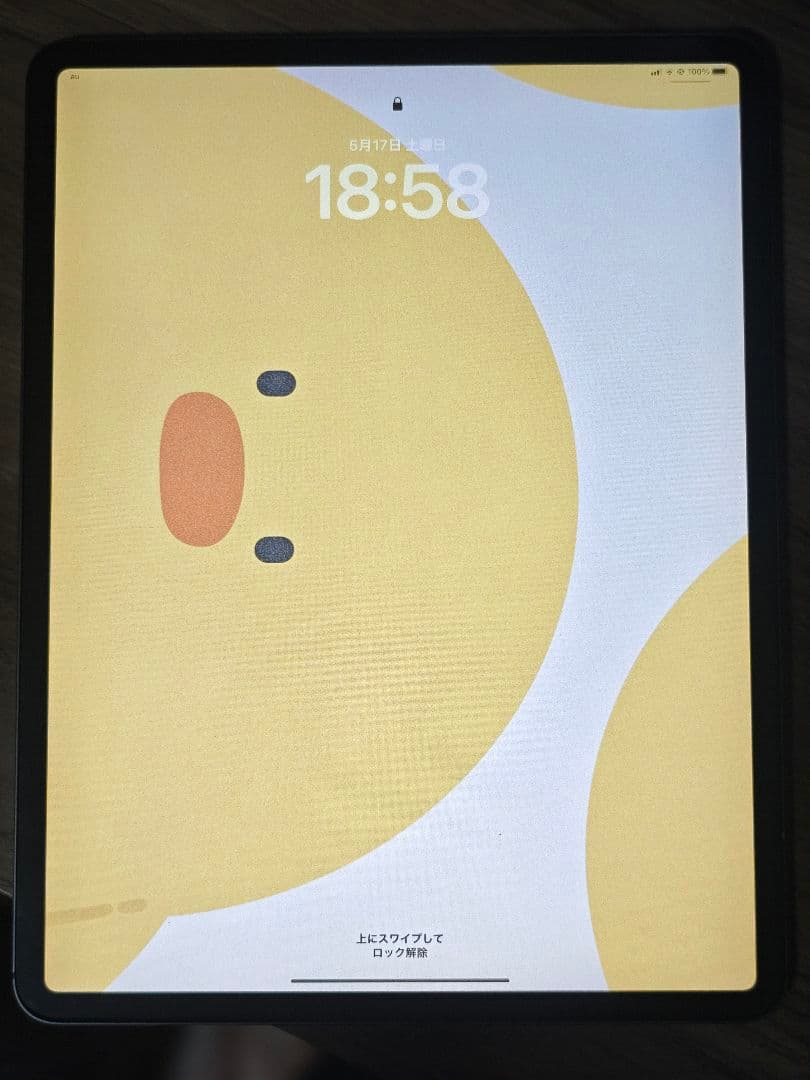 【超美品】iPadPro12.9/第3代/Cellular/512GB/本体のみ