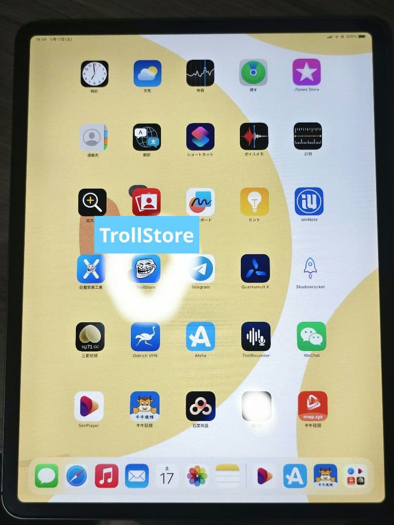 【超美品】iPadPro12.9/第3代/Cellular/512GB/本体のみ