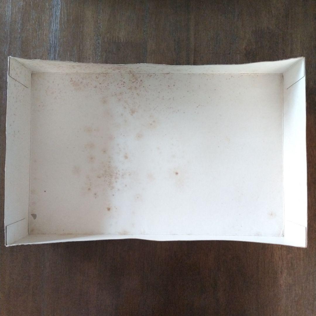 プラモデル　1/32雷電21 2機 セット　タカラレベル