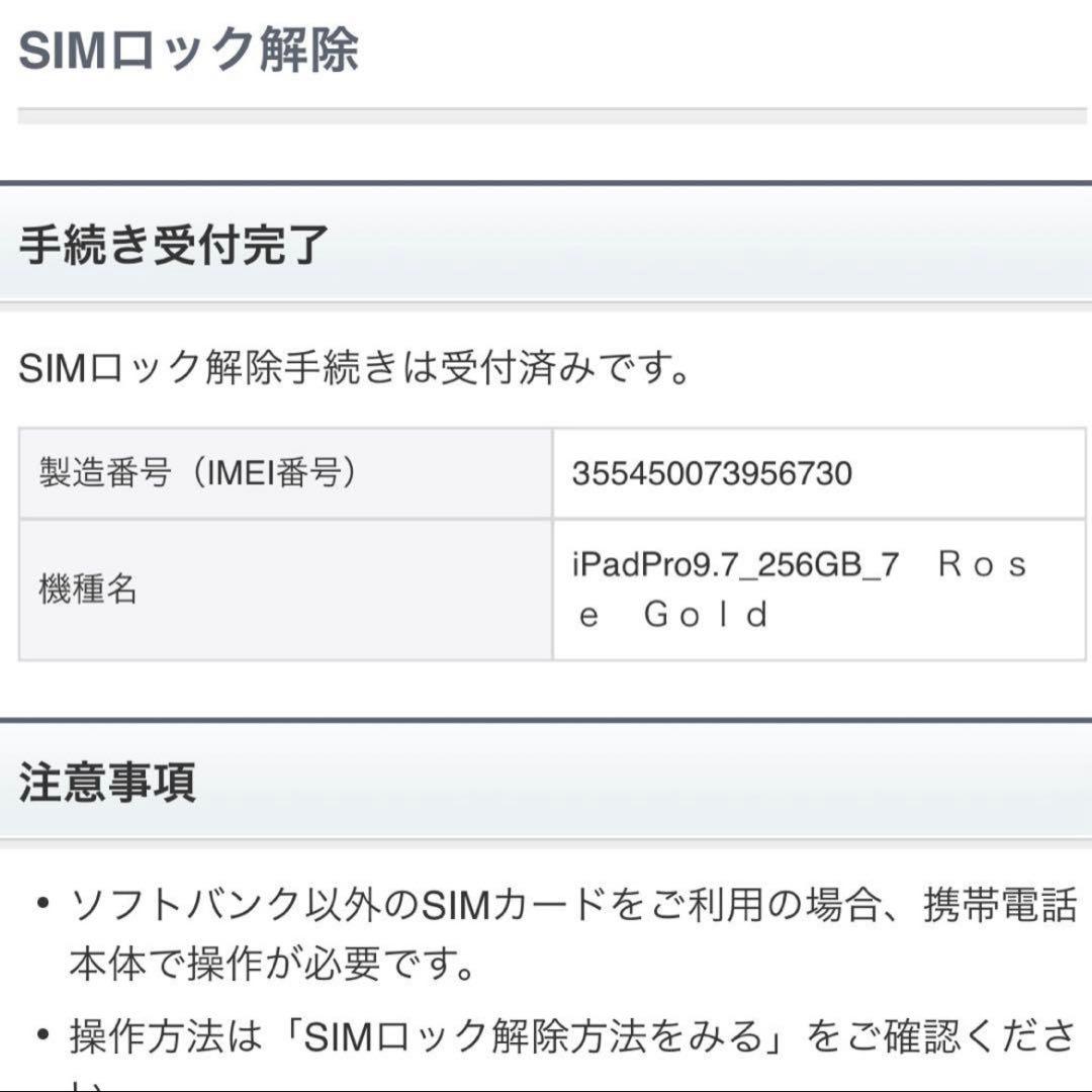 iPadPro 256GB 9.7インチ