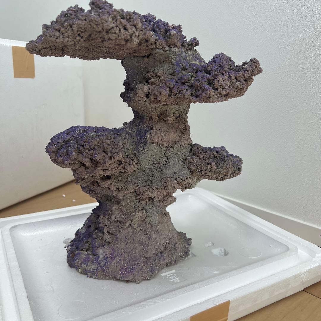 人口ライブロック 偽岩 レプリカライブロック サンゴ 人口 海水 水槽 ②